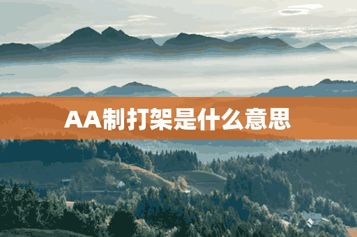 AA制打架是什么意思(aa制什么意思呀)